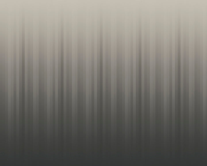 SHIMMER // WNK-806-01
