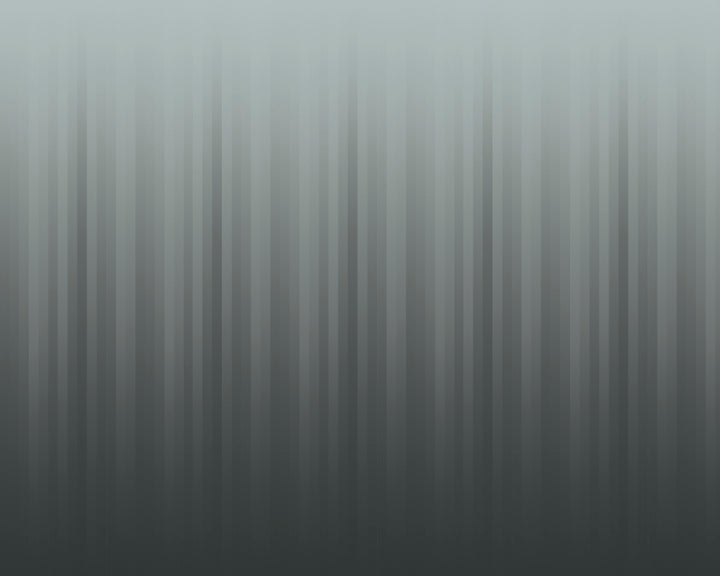 SHIMMER // WNK-806-02