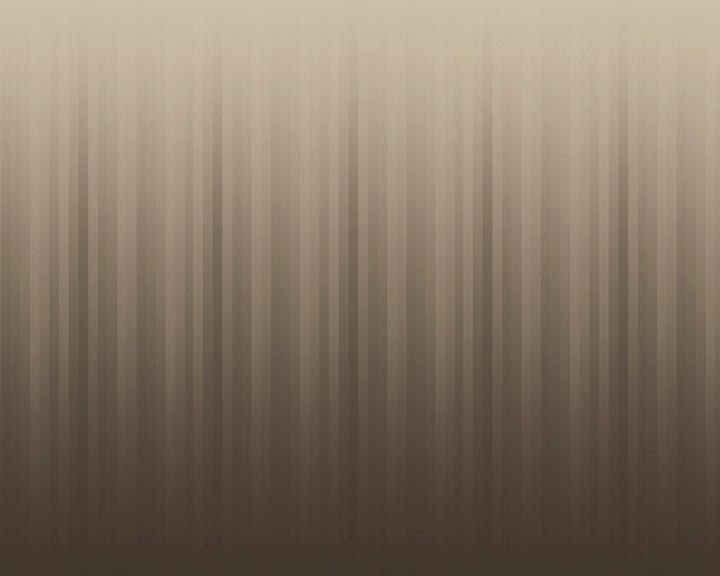 SHIMMER // WNK-806-03