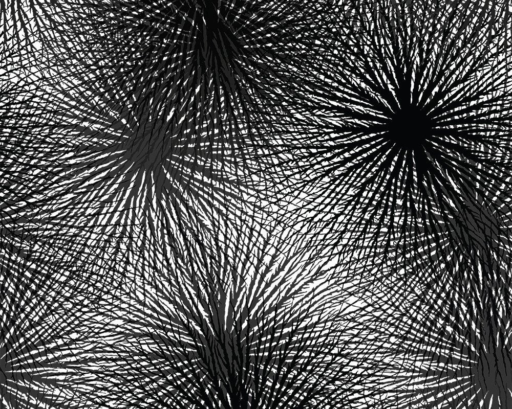 LICHTENBERG // WNK-402-01