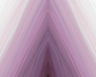 PORTAL // WNK-305-01