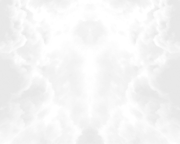 SILVER LINING // WNK-601-01