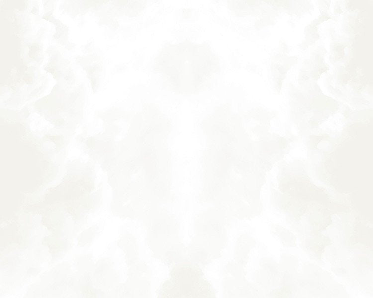 SILVER LINING // WNK-601-03